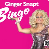  Ginger Snapt Bingo at Posh Bar & Lounge